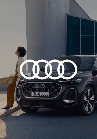 Audi PapakaliatisGo